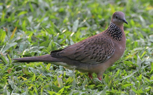 Related image